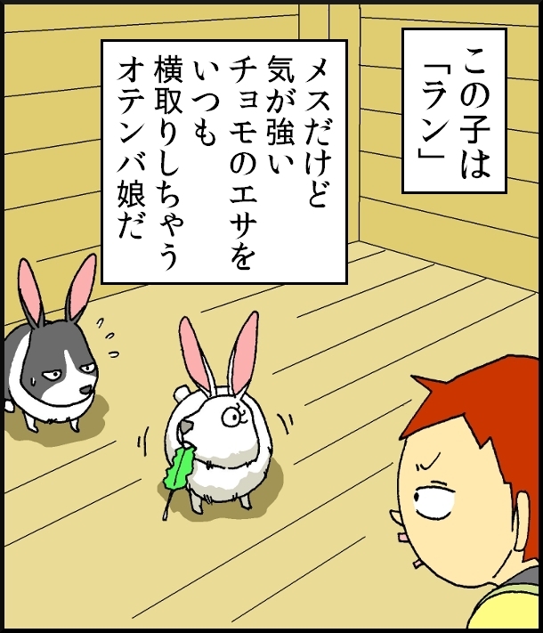 【おバカ絵日記】 缶詰ウサギ