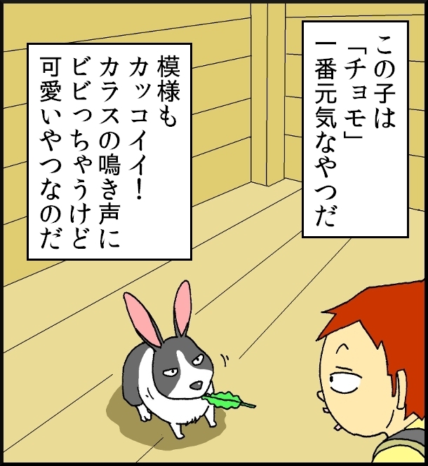【おバカ絵日記】 缶詰ウサギ