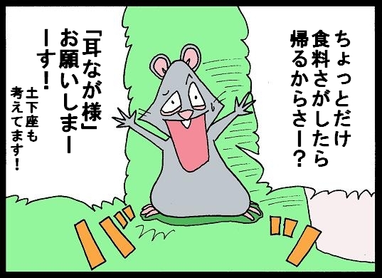 $Foolish dragon