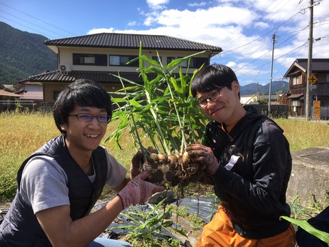 3譌・逶ョ 霎イ讌ュ_3552