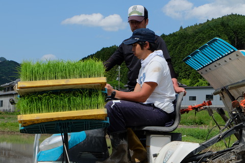 DSCF1482