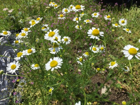 20150517_022205100_iOS