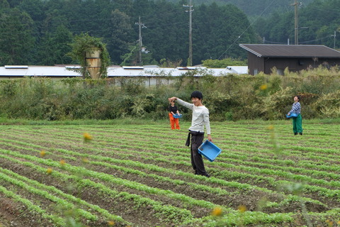 DSCF2680