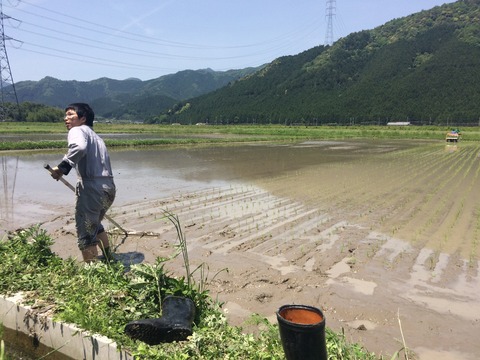 20160514_023205042_iOS