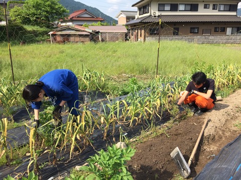 20160514_233126427_iOS