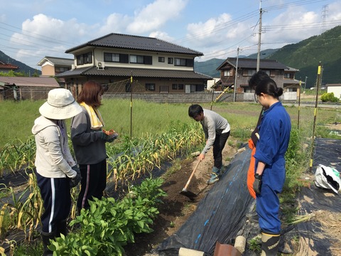 20160514_233026732_iOS