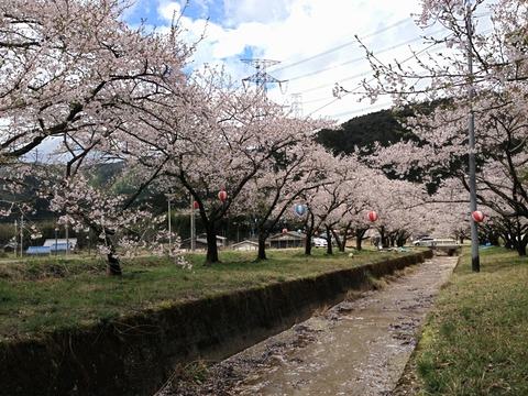 写真 2013-04-07 11 40 18