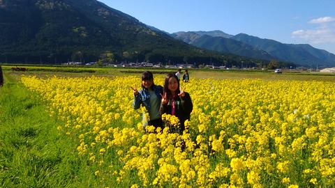 2日目 菜の花畑散策_170603_0061