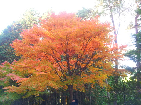 20141116_111223