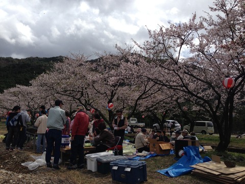 写真 2013-04-07 12 58 17