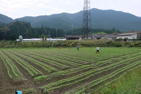 DSCF2677