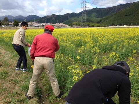 写真 2013-04-07 9 29 18