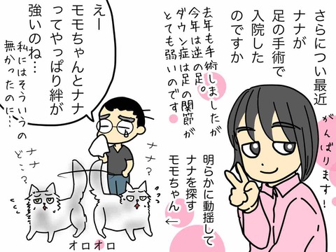 我が家の猫たち : 嫁激(とつげき)☆北フランス家族 Powered by