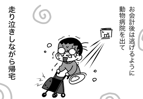 IMG_5725