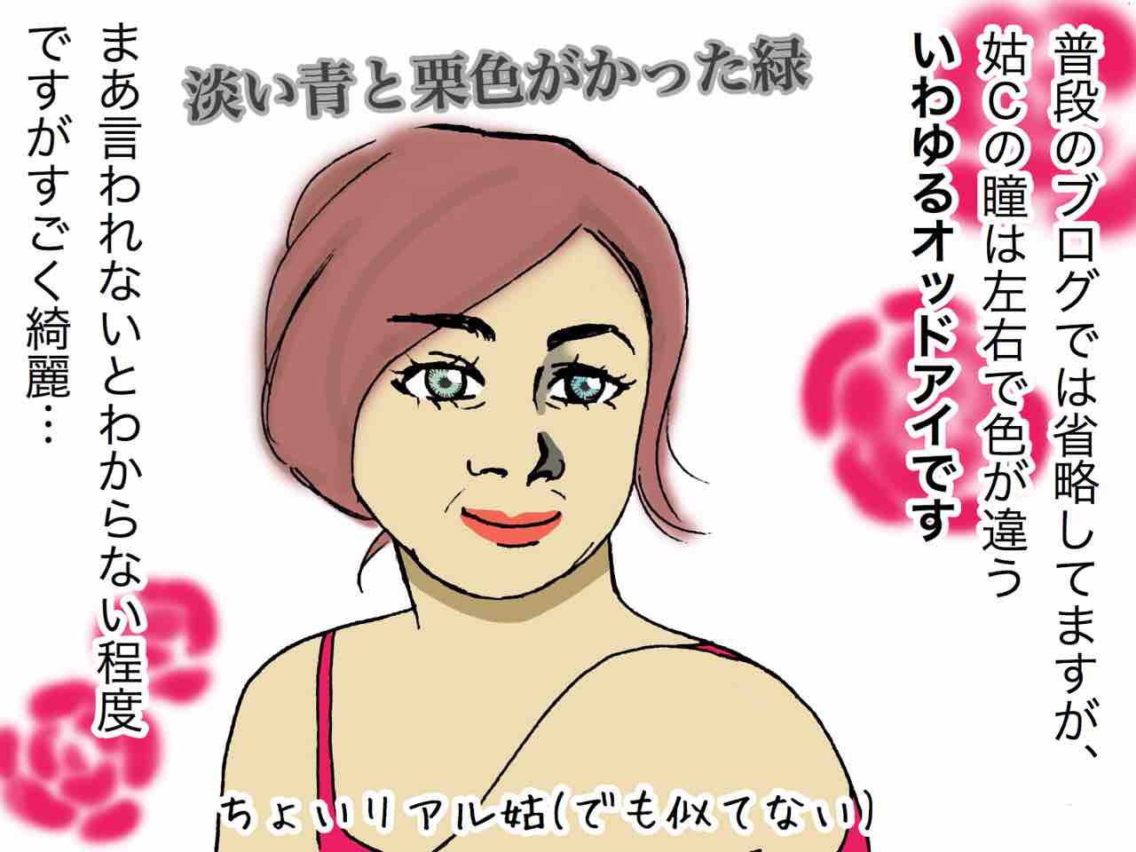 ちょっと欲しかったその遺伝子 嫁激 とつげき 北フランス家族 Powered By ライブドアブログ