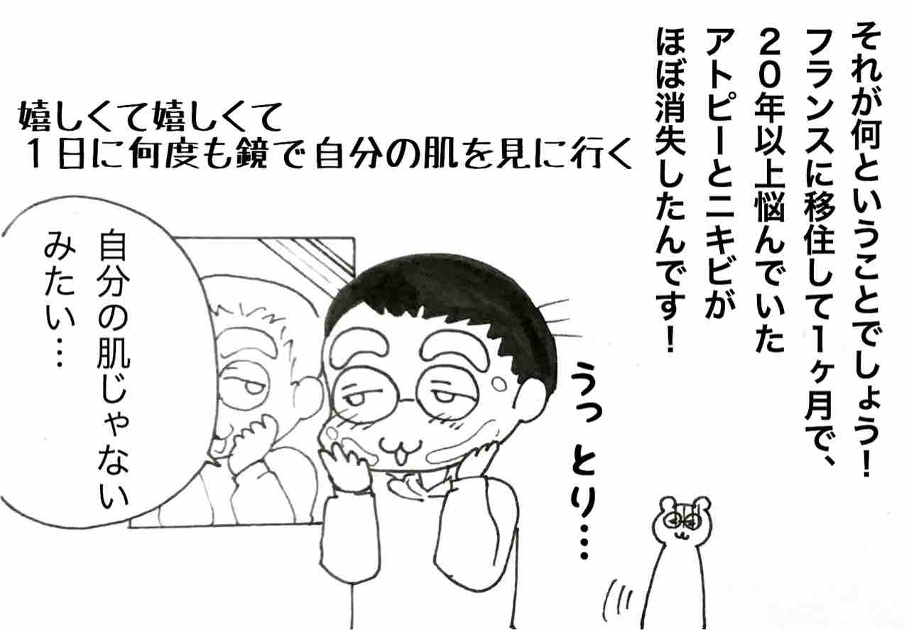 フランスにいる理由 日本に嫌われた女 嫁激 とつげき 北フランス家族 Powered By ライブドアブログ