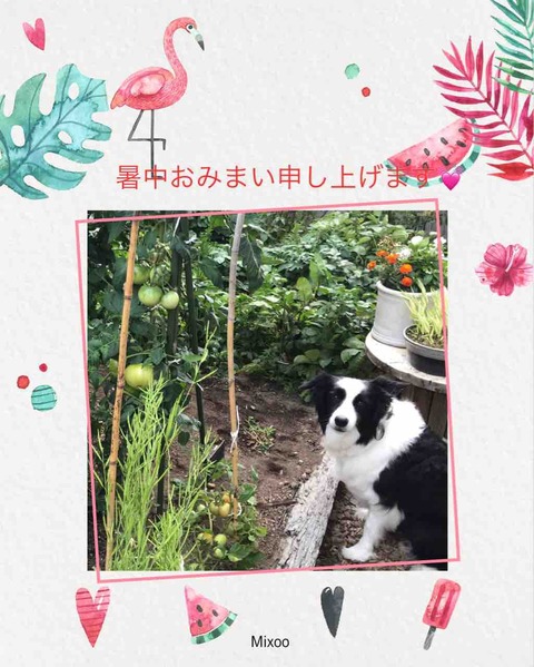 3516877B-2D87-410F-96CF-4E59F772EBDB