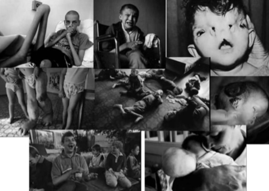 山本太郎さんの行動 親父ライダーのblog