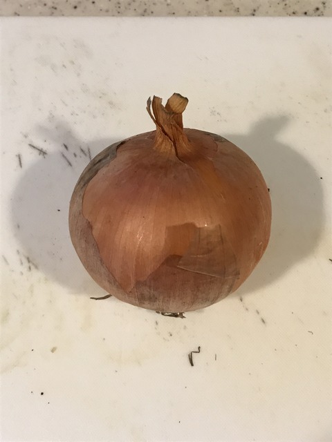 【注意：遊戯王全く関係ないです】ミートスパゲティ作るよ！