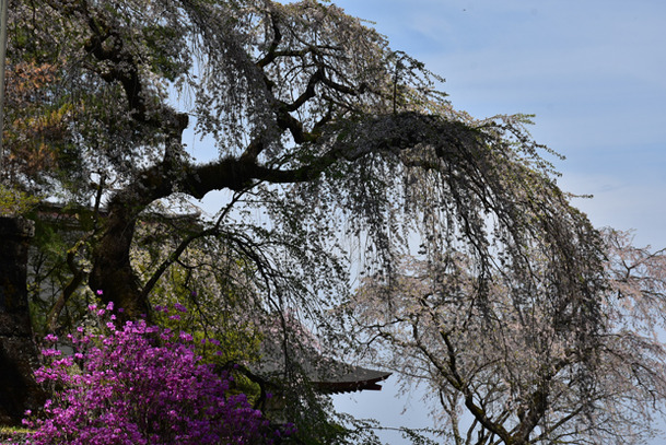 DSC_10000 (336)