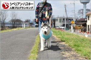 user-banner