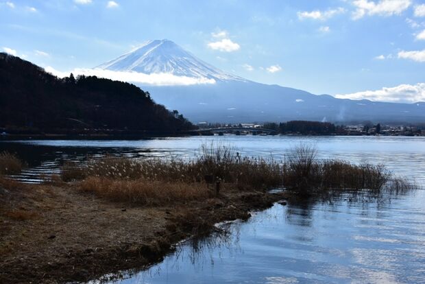 龍之介の日々 富士山を眺めながらあんパンを食す 家に来て4281日目 ゆけゆけ どらごんず 龍之介の日々 富士山を眺めながらあんパンを食す 家に来て4281日目 ゆけゆけ どらごんず