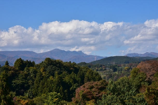 DSC_9191
