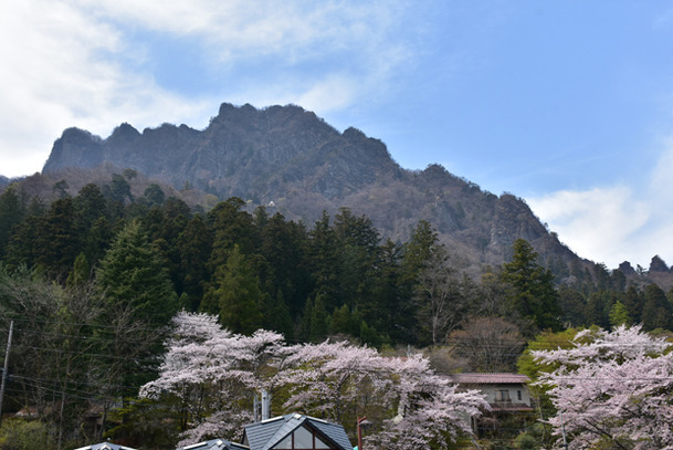 DSC_10000 (204)