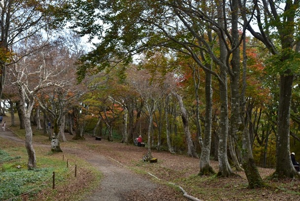DSC_8002