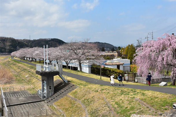 DSC_8805