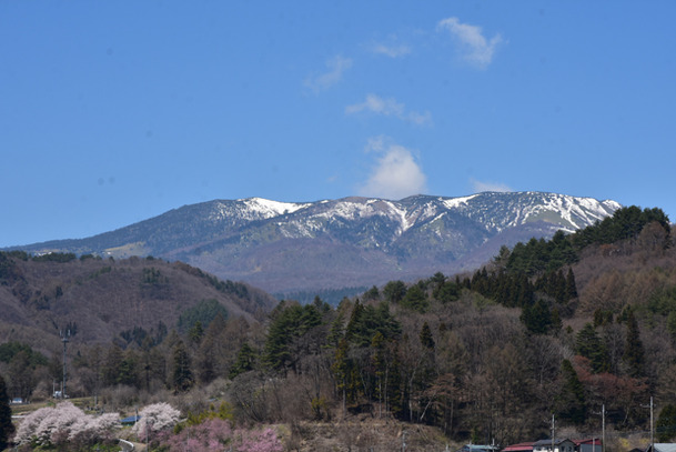 DSC_9958