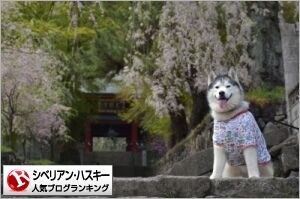 user-banner