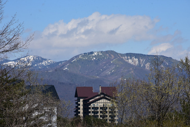 DSC_9973