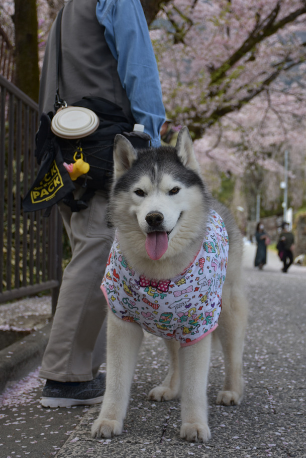 DSC_10000 (223)