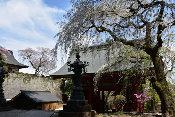 DSC_10000 (330)