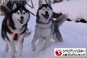 user-banner