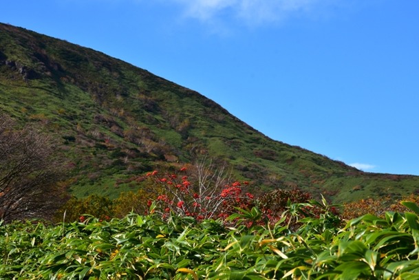 DSC_8110
