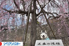 QNxcTy