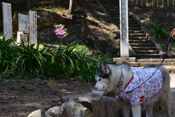 DSC_10000 (364)