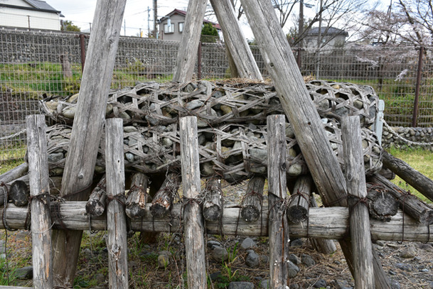 DSC_8821