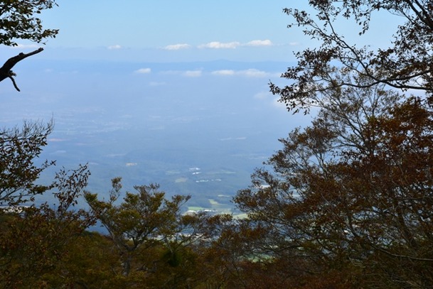 DSC_8006