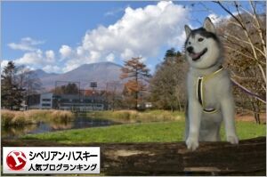 ダウンロード