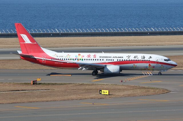 上海航空 特別塗装機 晴れの空blog