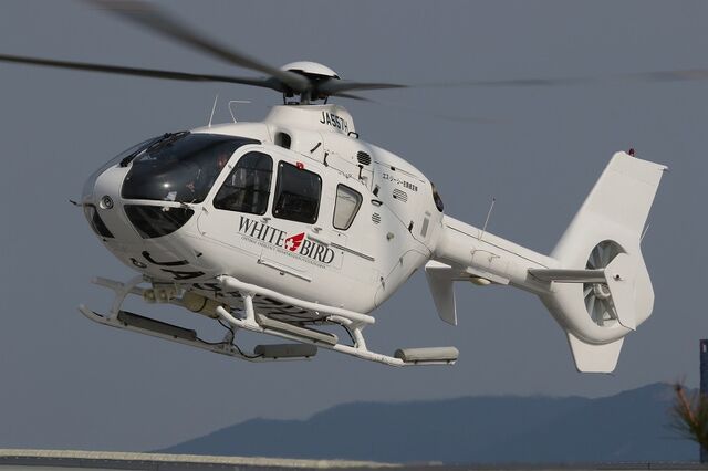 奈多ヘリポートでの収穫 WHITE BIRD : 晴れの空blog