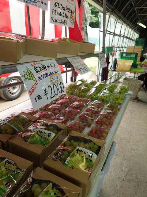 1758330607212268595007709567717