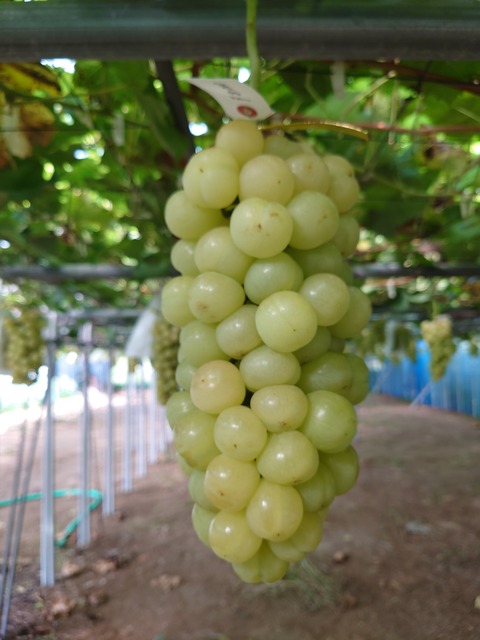 17597935546902830978801870462706