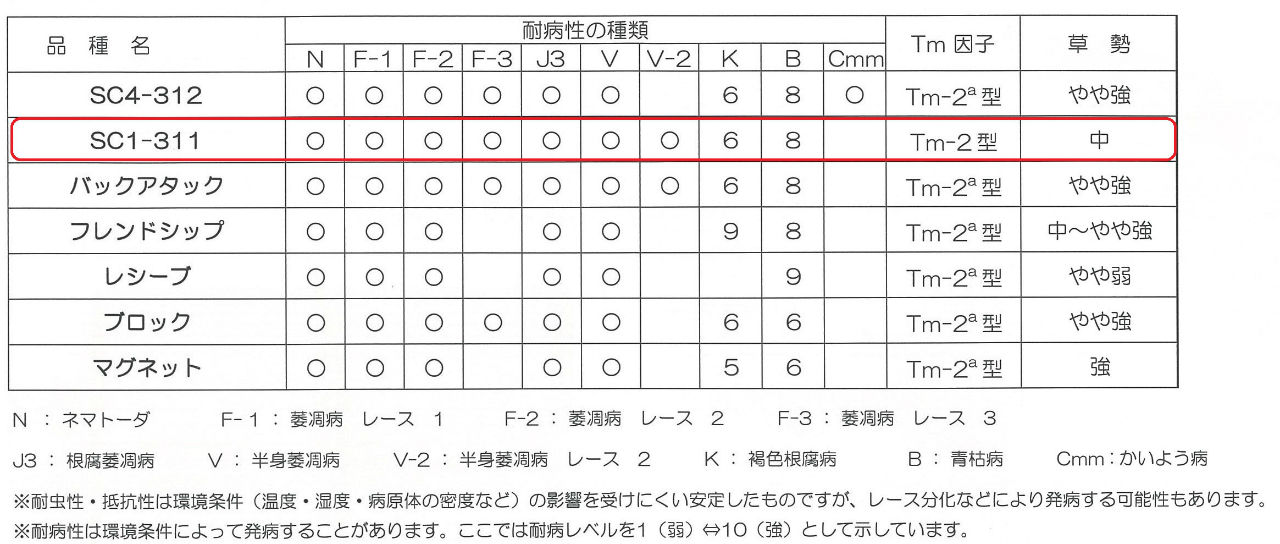 プチトマト様 TSX-114(緑)[ミニトマト] - e-種や｜国内最大級の野菜種・花種