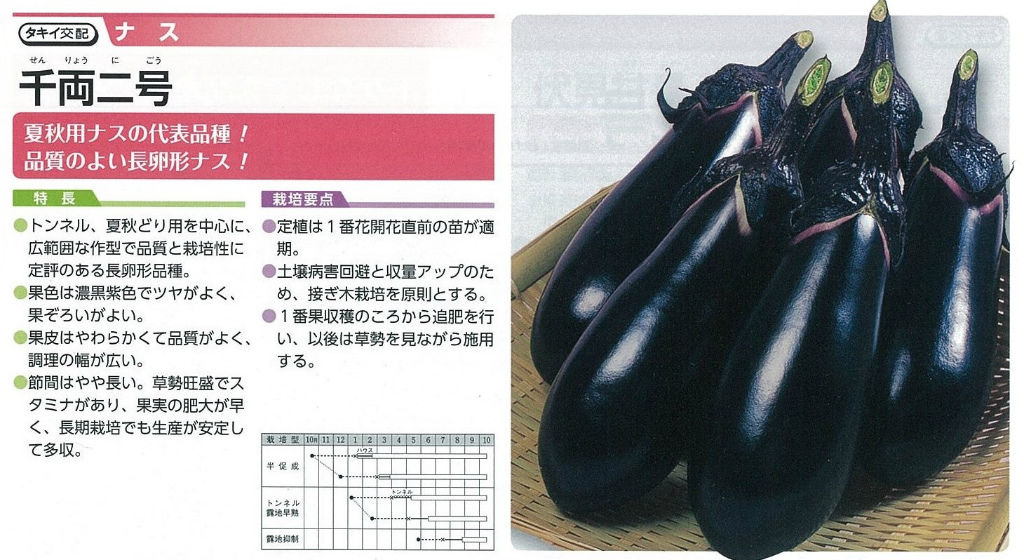 今年のナス苗ラインナップ キントラ種苗 オフィシャルブログ 今年のナス苗ラインナップ キントラ種苗 オフィシャルブログ