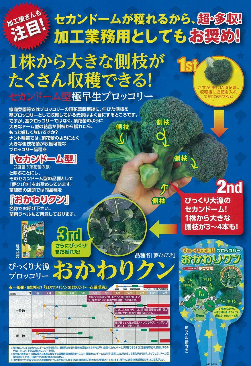 ブロッコリー「夢ひびき」 : キントラ種苗 オフィシャルブログ ブロッコリー「夢ひびき」 : キントラ種苗 オフィシャルブログ