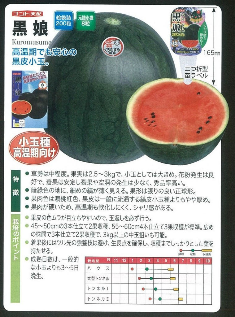 今年のスイカ苗ラインナップ 中玉 小玉 キントラ種苗 オフィシャルブログ 今年のスイカ苗ラインナップ 中玉 小玉 キントラ種苗 オフィシャルブログ